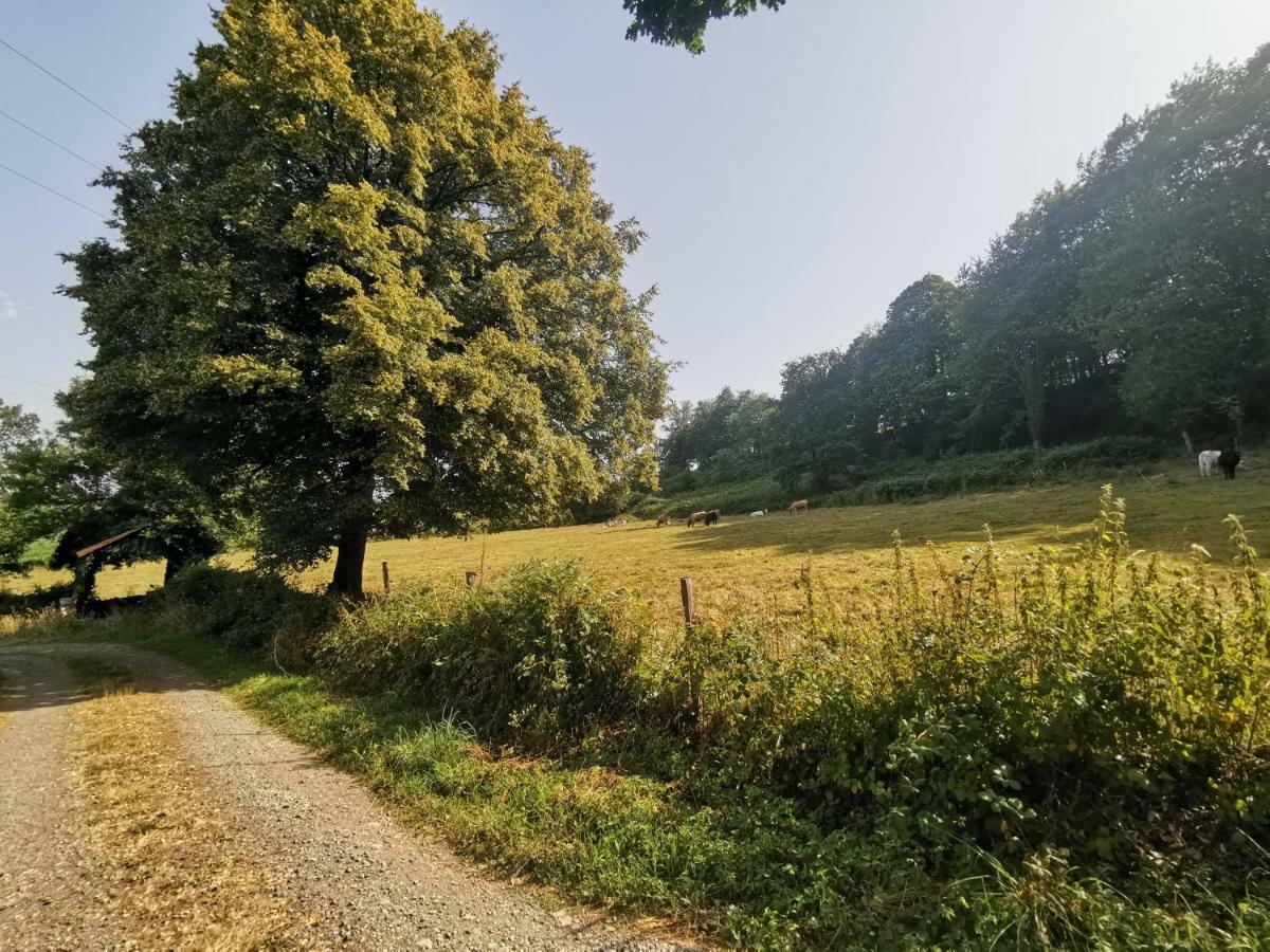 Domaine Lvd Avec Spa, Bois Et Riviere Privee La Bloutiere Екстериор снимка