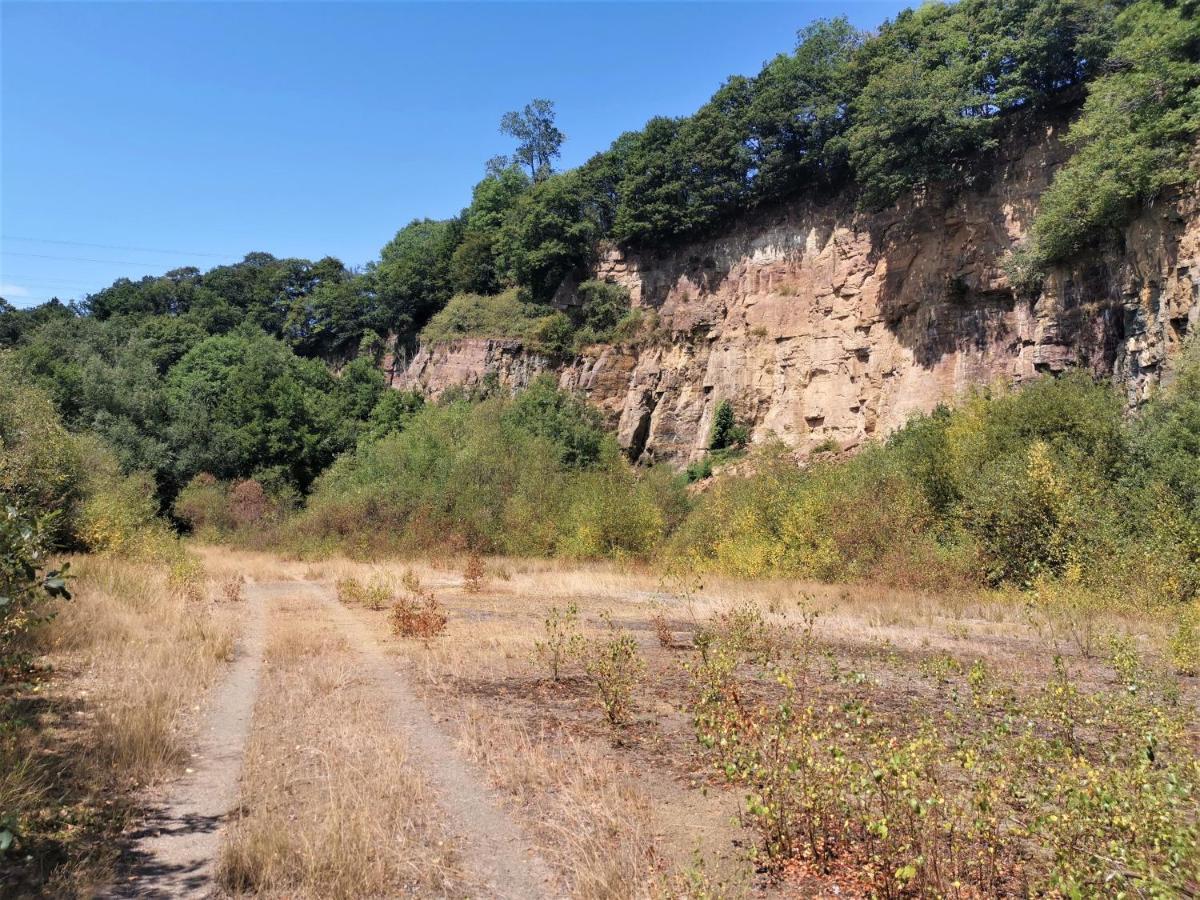 Domaine Lvd Avec Spa, Bois Et Riviere Privee La Bloutiere Екстериор снимка