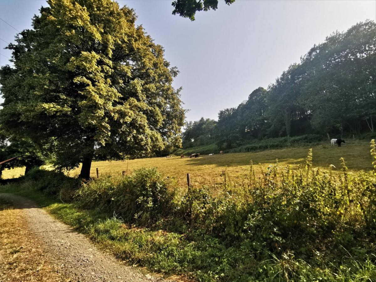 Domaine Lvd Avec Spa, Bois Et Riviere Privee La Bloutiere Екстериор снимка